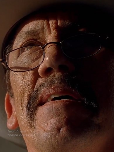 Tortuga: The Turtle Who Always Wins in Breaking Bad