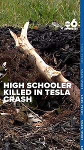 The life of 16-year-old Ethan Blecke, a Dublin-Jerome High School student, gone after a vicious crash at an apartment complex on Club Way Court in Powell. Police said there say there were six teens inside a Tesla. | WSYX ABC 6