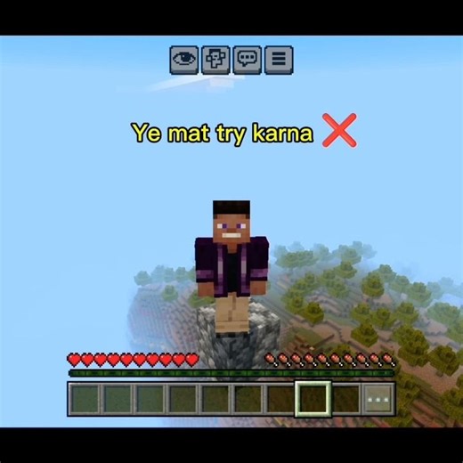 Day(5/30) Don't try this #minecraft #viral