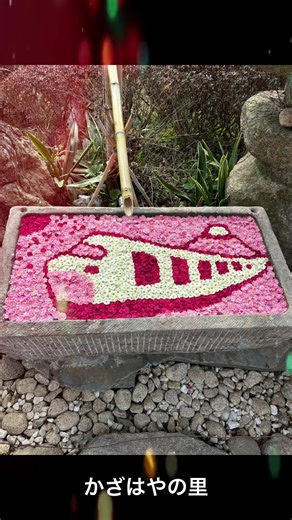 かざはやの里 梅まつり #梅 #梅の花 #花 #flower #三重県