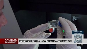 Coronavirus Q&A: How do variants develop?