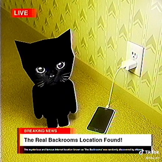 Exploring the Reality of the Backrooms | Cat Sonya Encounter
