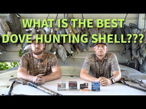 Best 20 Gauge Load for Dove Hunting? Tristar Raptor 20 GAUGE vs Beretta A300 20 GAUGE Pattern Test