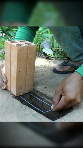 Drop-Down Parrot Trap in Deep Hole | Primitive Survival 🪶