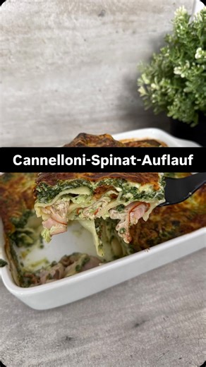 Christina Fennell on Instagram: "Anzeige / Cremiger Cannelloni-Spinat-Auflauf 🍝🤍 Wenn Pasta, dann bitte so: kalorienarm, high protein & familientauglich. Dieses Gericht zeigt perfekt, dass Abnehmen nicht nach Verzicht schmecken muss. 👉 cremig 👉 sättigend 👉 kinderfreundlich 👉 perfekt für stressige Tage ⸻ 🧀 Warum du dieses Rezept lieben wirst: • High Protein → schützt Muskulatur • Kalorienarm → passt easy ins Defizit • Familienfreundlich → auch Kinder essen mit • Meal-Prep geeignet → aufwär