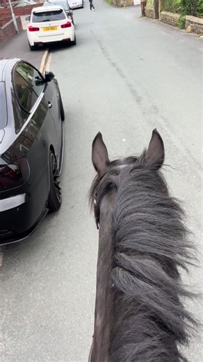 Donate New Spur Straps for Equestrian Needs