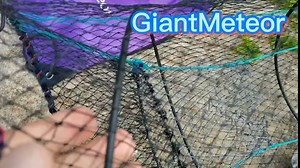 Crab Trap Bait Trap Lobster Crawfish Trap Folding Crab Trap PVC Coated Steel Frame Fish Bait Traps with Crab Trap Rope Bait Holder