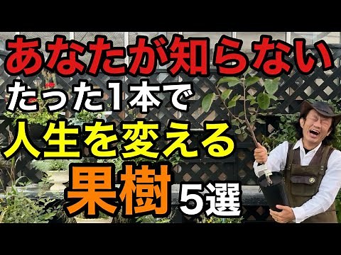 [In the garden or in a pot] Learn how to grow the finest fruit from a single fruit tree. [Carmen-...
