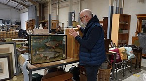 🎣 Rare Cased Taxidermy Fish by J. Cooper & Sons – Up for Auction! 🎣 An exceptional cased taxidermy group of Roach, "Chub," and Dace in a beautifully detailed naturalistic setting by renowned taxidermists J. Cooper & Sons is now available for auction! 🏞️✨ Also featured in this sale is a stunning cased taxidermy Tench, equally crafted with incredible realism | Atkins Auctions