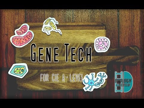 A-Level Biology - Gene Technology : Recombinant DNA