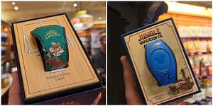 2 new Magic Bands Spotted in the Magic Kingdom | Chip and Company