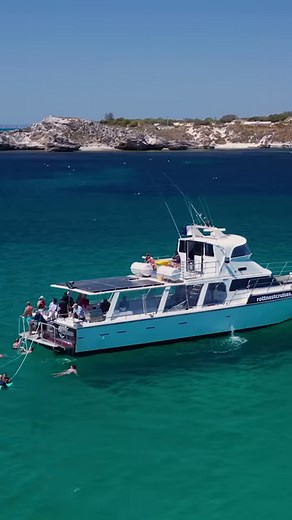 5.4K views · 79 reactions |  Board Rottnest Cruises premium charter boat and enjoy a decadent sea-to-plate experience on the waters of Rottnest Island. ️ A must for any food-lover, the Luxe Island Seafood Cruise is a showcase of all that makes the island unique. Combining the scenic sights of Wadjemup with exquisite cuisine, it's an all-in-one experience, with ample time to dive into the inviting waters for a swim or snorkel.  | Rottnest Island, Western Australia | Facebook