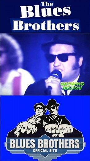 🚓💨 Blues Brothers Dan Aykroyd & John Belushi #johnbelushi #danaykroyd #jimbelushi #thebluesbrothers