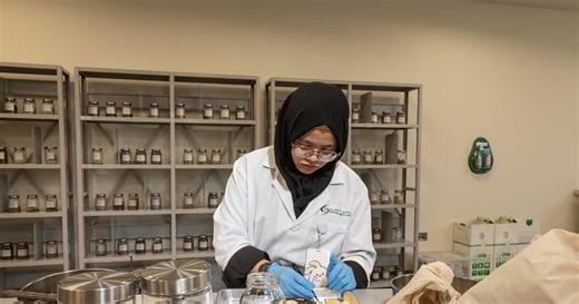 Inside the UAE's plant biobank: the green heart of conservation in the desert  | The National