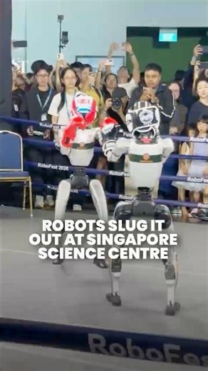 Boxing robots duke it out at Science Centre Singapore's RoboFest 2026