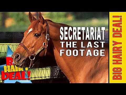 Secretariat The Last Footage