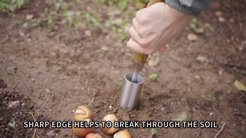 Haliaeetus Small Bulb Planter Tool, Sharp Edge Bulb Planter for Breaking Through Soil, Heavy Duty Stainless Steel Bulb Planter Tool, Small Bulb Digger with Comfortable Wood Handle for Seed Planting