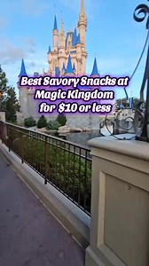 107K views · 835 reactions | These are my favorite Savory Snacks at Magic Kingdom. What's your favorite snack at Disney World? #magickingdom #disneyfood #disneysnacks #disneyfoodie #Foodie #disney2025 #snacks | Ani Ruiz | Facebook