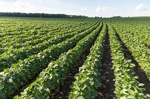 About KPM Analytics | We Craft Assurance