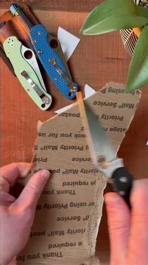 Spyderco Paramilitary 2 Lightweight Quick Cut Test - Is it Sharp?