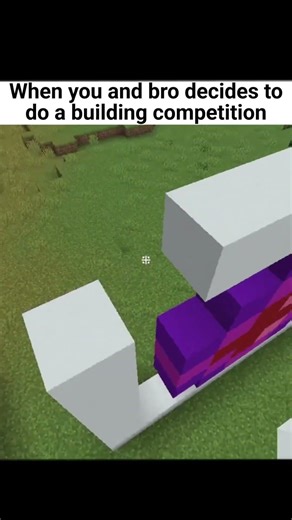 When Me And Bro Decides To Do A Building Competition #minecraft #aestheic #memes #gaming #fun #like