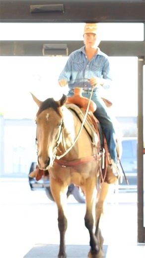 “Barney” is ready to boogie his way right into your heart! This guy is as close to perfect as they come in every possible way. AQHA 2023 “DUDE WHERES MY BAR” | Easley Performance Horses & Training