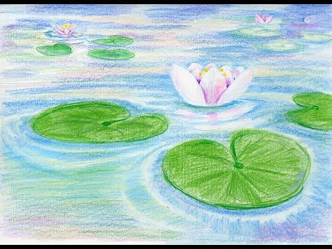 Drawing Lily Pads