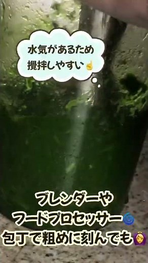 【よもぎの下処理】よもぎペーストの作り方と保存方法#Shorts#youtubeショート