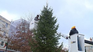 Campus Christmas Controversy: ‘Charlie Brown Tree’ at University of Scranton