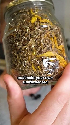 Stop throwing out your Sunflower disc florets 🌻