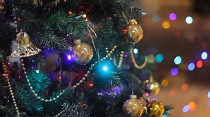 Christmas Tree Colorful Bokeh Christmas Lights Stock Footage Video (100% Royalty-free) 3183850 | Shutterstock