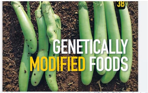 Reading Explorer 4 - Unit 3b - genetically modified foods 文本讲解
