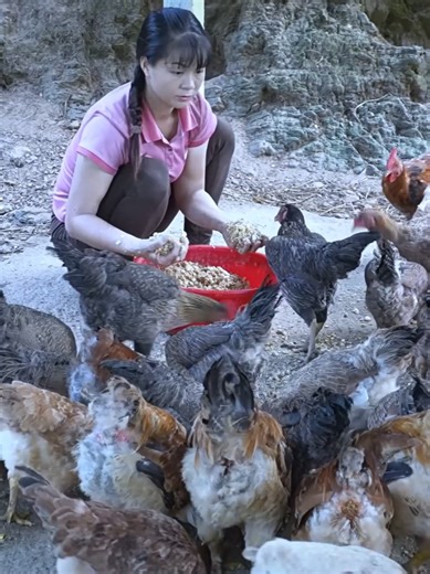 Rewind Time Lapse of 760 Days Catching Turtles and Fish