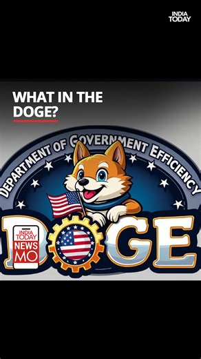 Tesla CEO Elon Musk and Republican Indian-American Vivek Ramaswamy have now been tasked with leading the DOGE or the Department of Government Efficiency under the Trump administration. Many on X are saying, “What in the DOGE is this?”, we take a look at the popular meme which is now a department among other things. #elon #musk #vivek #ramaswamy #doge #trump #efficiency #department #crypto #NewsMo | India Today