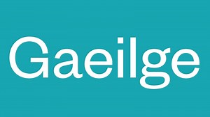 Leaving Cert Irish Higher Level expert tutorial videos