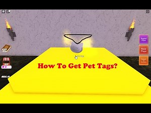 How To Get Pet Tags in Roblox Wacky Wizards | Cave Quiz