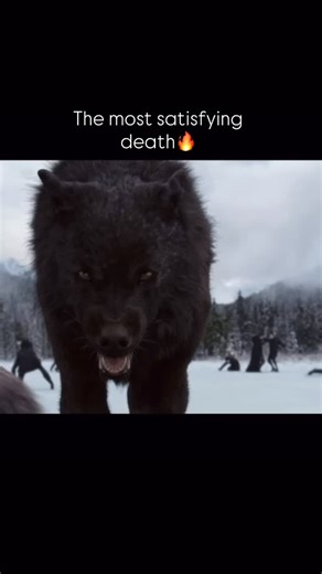 The shelf life on Instagram: "This scene was so perfect #twilight #movie #netflix #fight #cinema"