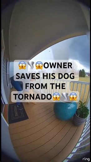 🌪️ UNREAL FOOTAGE: a tornado forming in the distance, it almost pulled my dog off the porch.