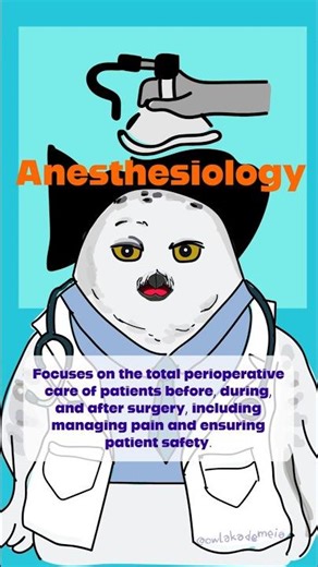 Anesthesiology explained by🦉🩺Doctor Snowy Owl | What is Anesthesiology? #anesthesiology
