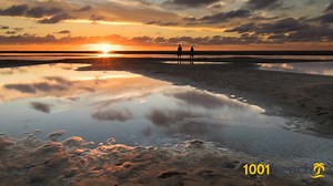 特塞尔岛 海滩 (Texel Island beach)