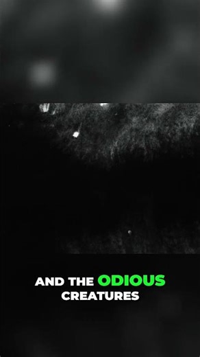 Enlightenment Before Light: Unveiling Hidden Meanings #shorts