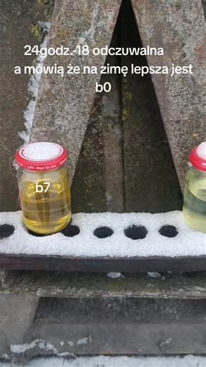 Poradnik: Diesel B7 czy B0 na zimę?