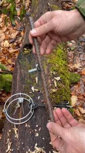 Mink Squirrel Trapping — RBG Round Bodygrip Stabilizer Tutorial #trapping #diy | Gettiz