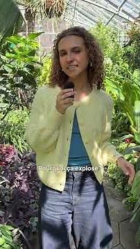 Solarpunk: What would a world designed for people, not profit, look like?