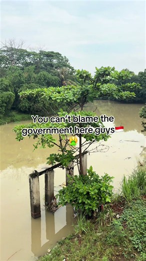 I see a lot of Indo’s hating on their government and I’m not defending them but coming from Europe I can tell you in regards to structure the people are just as bad, here littering is normal… In Europe you’ll get called out and fined heavy, our rivers and lakes are kept clean. #Jakarta #Indonesia #River #government #FYP