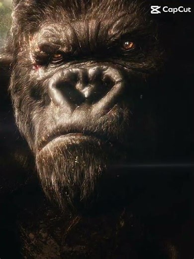King Kong 2005 edit