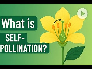 What is Self-Pollination? | خود بار آوری کیا ہے؟ | Plant Reproduction Explained