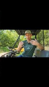 Living ALONE on a Rural Homestead - Nobody Talks About This