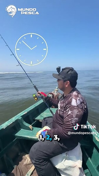 Pesca de cabrillas: Tips para una captura exitosa