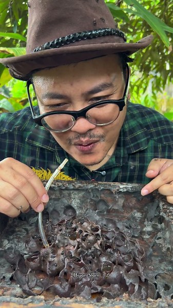 ASMR Rare Golden Stingless Bee Honey Drinking - 37 🐝 🍯 #shorts